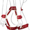 Passion Restraint Kit