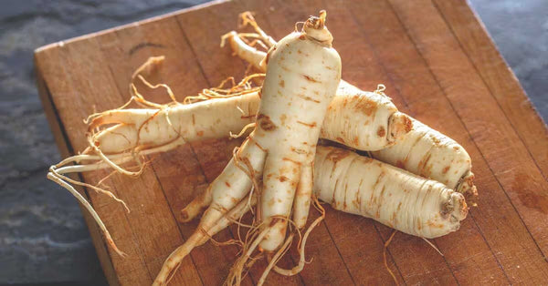 Panax Ginseng