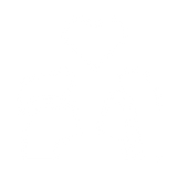 Every Touch Feels Electric